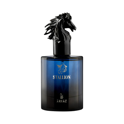 ARIAZ Stallion Men EDP 3.4 oz – Citrus Woody Fragrance with Grapefruit, Ambrox, Woodsy Notes, Musk