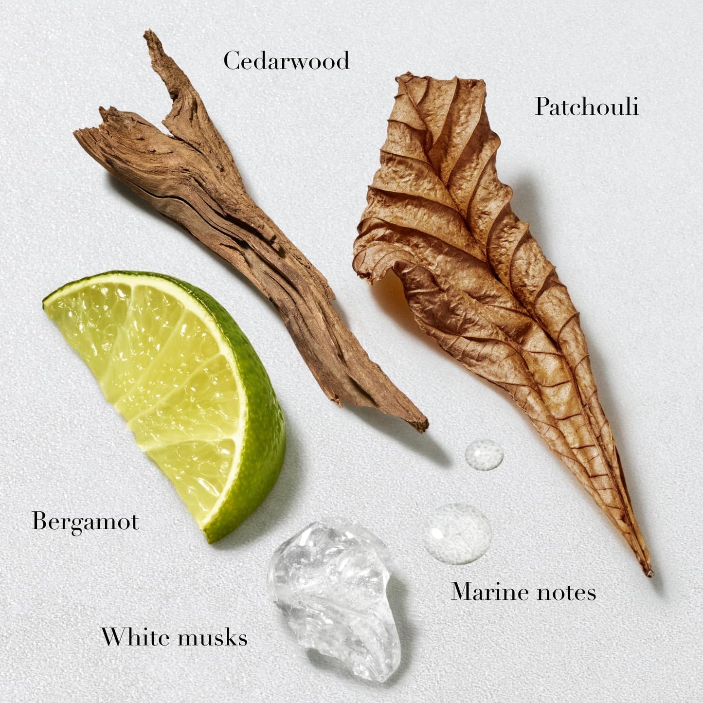 Armani Beauty Acqua di Gio After Shave for Men – Long-Lasting Bergamot, Jasmine, Cedarwood & Patchouli, 3.3 Fl Oz