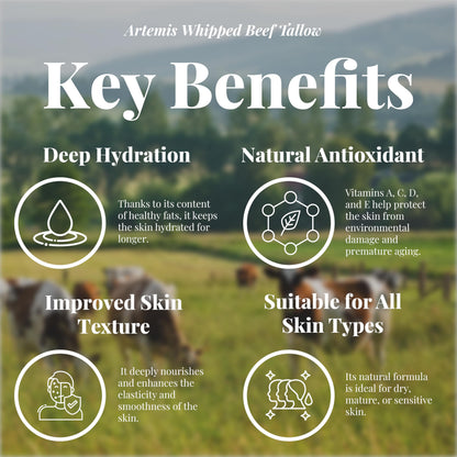 Artemis Beef Tallow Balm – Grass-Fed, All-Natural Moisturizer for Face & Body (6 oz)
