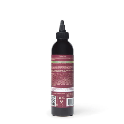 As I Am Onion Shampoo – 8 oz with Red Onion, Ceramides & Isoquercetin | Supports Healthy Hair Growth
