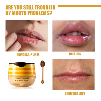 Axnzp 4 Pcs Honey Lip Balm Pot — Moisturizing Lip Mask to Soften Lips & Prevent Dryness