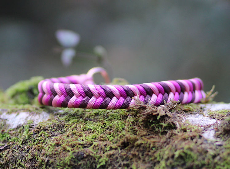 Fairy Glen Braided - Handmade Paracord Dog Collar