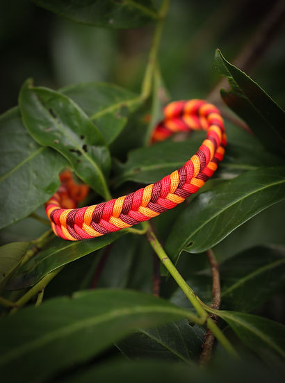 Coppermines Valley Braided - Handmade Paracord Dog Collar.