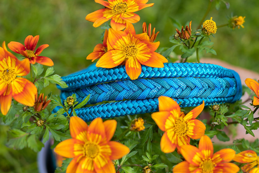 Aegean River - Handmade Luxe Dog Collar