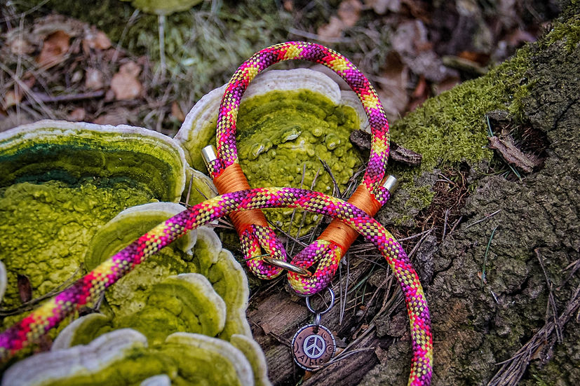 Slip Rope Collar - Handmade Paracord Dog Collar