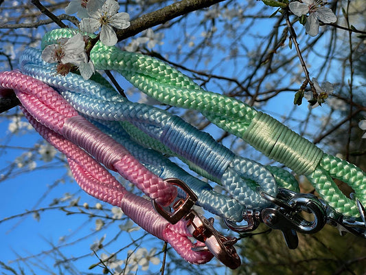 Twisted Collar - Handmade Paracord Dog Collar