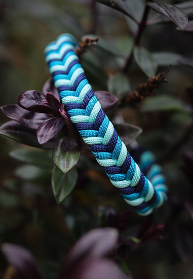 Aira Force Braided - Handmade Paracord Dog Collar.