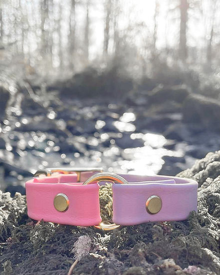 Duo Biothane Collar - Handmade Duo Biothane Dog Collar.