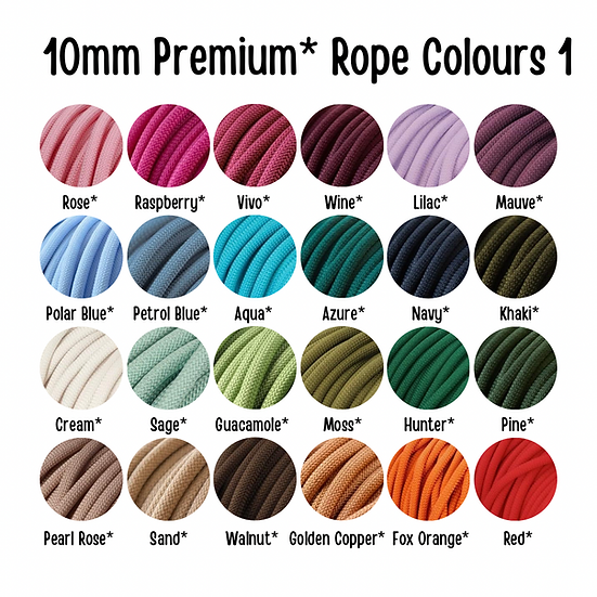 6mm gundog slip lead - Handmade Paracord Dog Lead