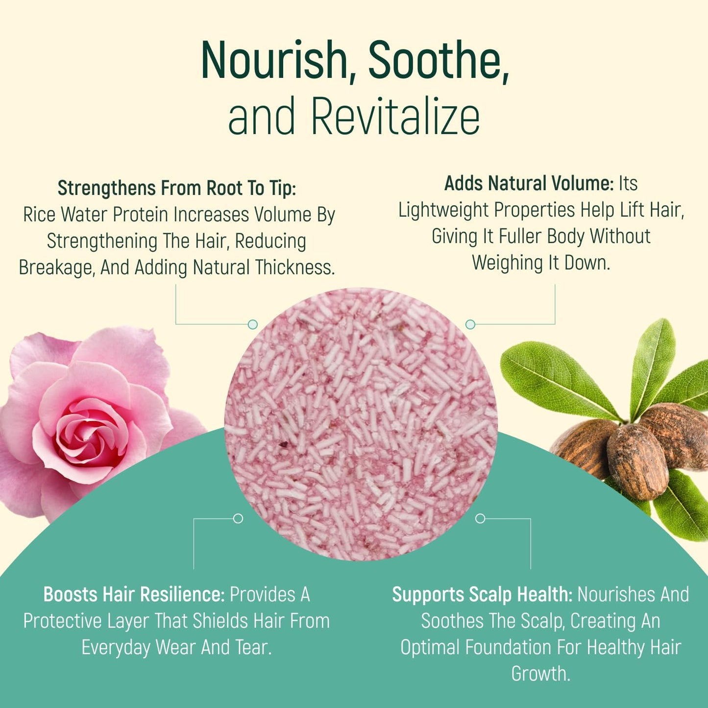 BAMBOEARTH Rose 12-Pack Solid Shampoo Bar & Conditioner Effect – Zero Waste, Plant-Based Hair Care