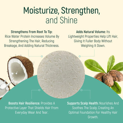 BAMBOEARTH Solid Shampoo Bar & Conditioning Soap – 12-Pack Natural, Plant-Based Hair Care (Zero Waste)
