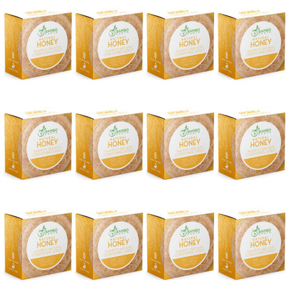 BAMBOEARTH Solid Shampoo Bar & Conditioner – 12 Pack, Natural Plant-Based Oils, Zero-Waste Packaging