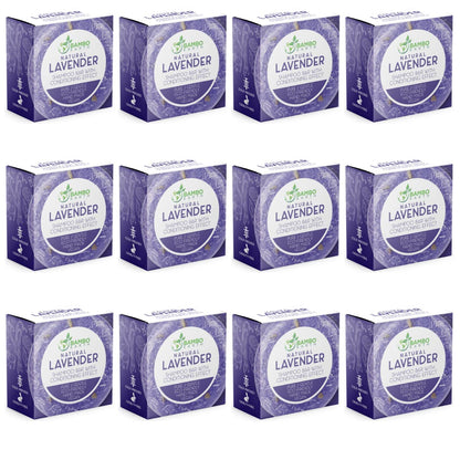 BAMBOEARTH Lavender Solid Shampoo Bar – 12 Pack | Plant-Based, Zero-Waste Hair Care
