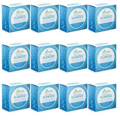 BAMBOEARTH Solid Shampoo Bar & Conditioner – Seaweed Pack (12 Bars) | Eco-Friendly, Zero-Waste
