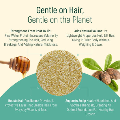 BAMBOEARTH Solid Shampoo Bar & Conditioner – 12 Pack, Natural Plant-Based Oils, Zero-Waste Packaging
