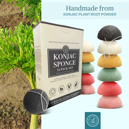 Bare Essentials Living Konjac Sponge Set (12 Pack) – Activated Charcoal & Natural Exfoliating Sponges