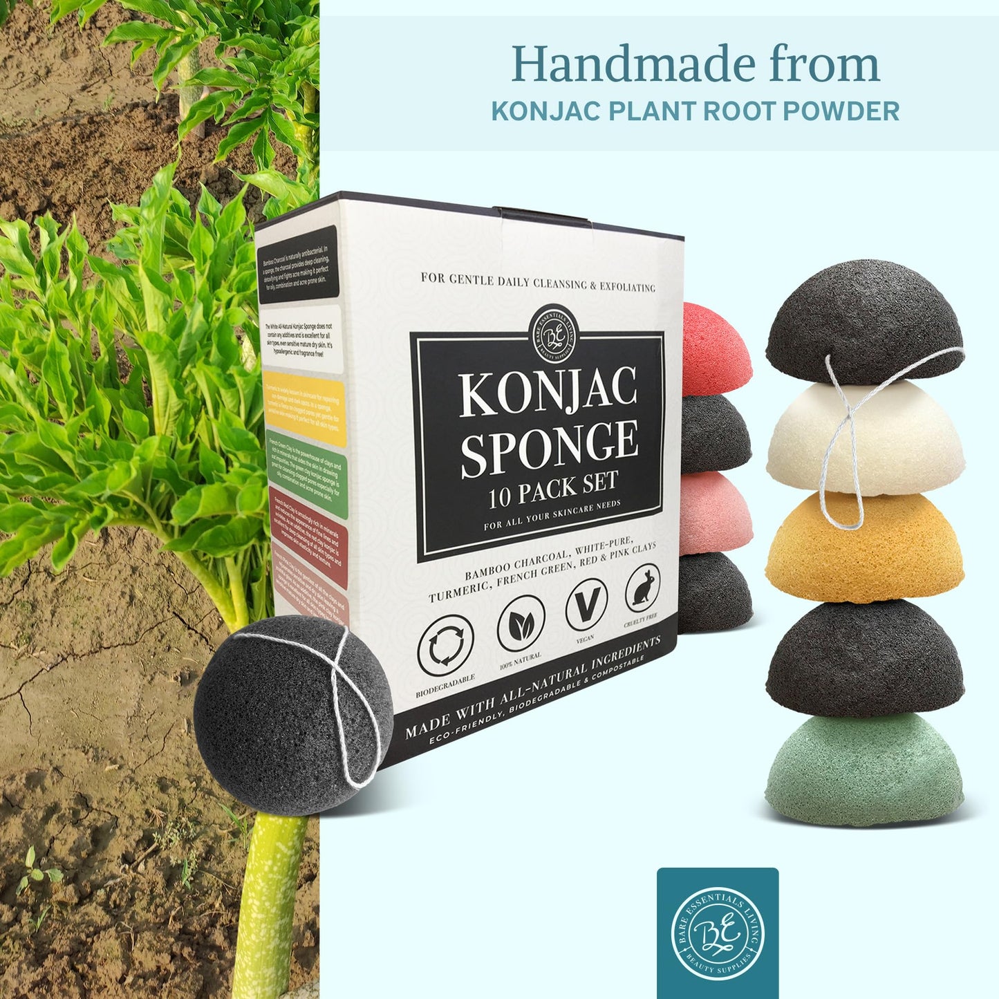 Bare Essentials Living Konjac Sponges Set – 10 Pack with Activated Bamboo Charcoal