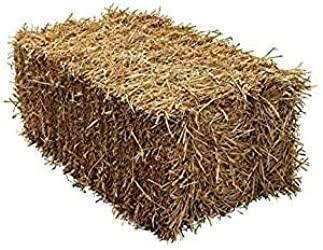 Barley Straw Bale - The North East Farm
