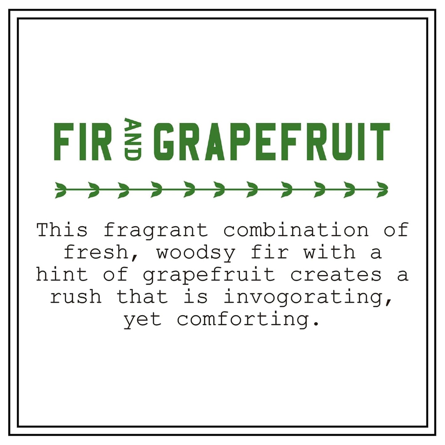 BARR-CO Fir & Grapefruit Hand & Body Cream – Woody Citrus Scent, 3.4 oz