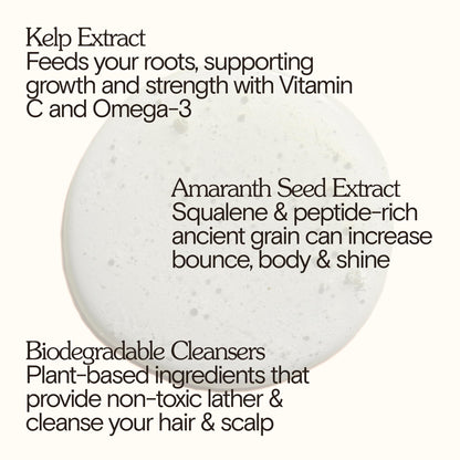 Bathing Culture Organic Shampoo Kelp Forest – Natural, Vegan Scalp Care (8 oz / 237 ml)