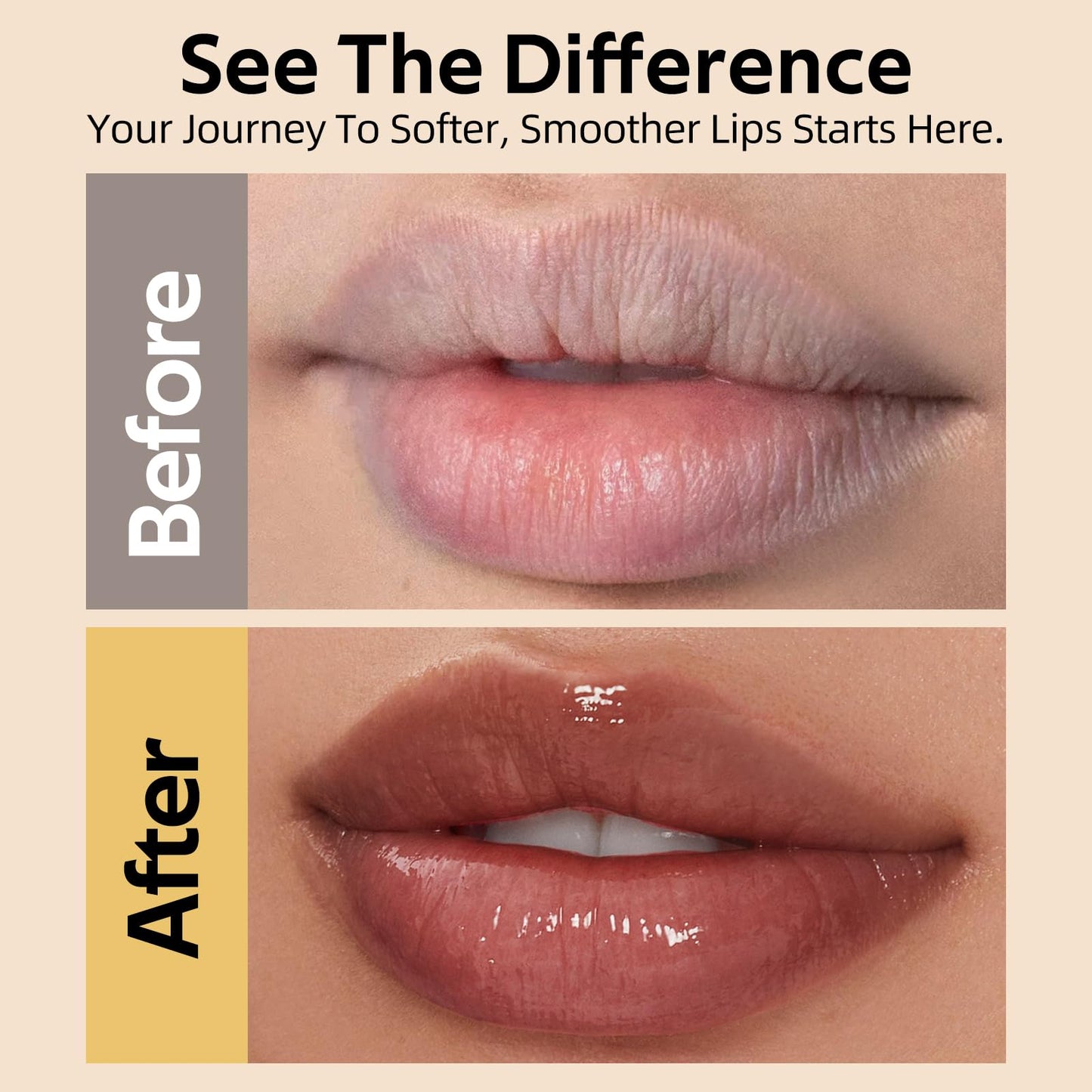 Bayfree Tinted Lipstick Set — 3pc, All-Day Hydration, Cruelty-Free