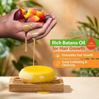 Beauté Seoul Batana Oil Shampoo Bar – Cold-Pressed Batana Oil, PHA Exfoliation, Sulfate-Free, pH-Balanced