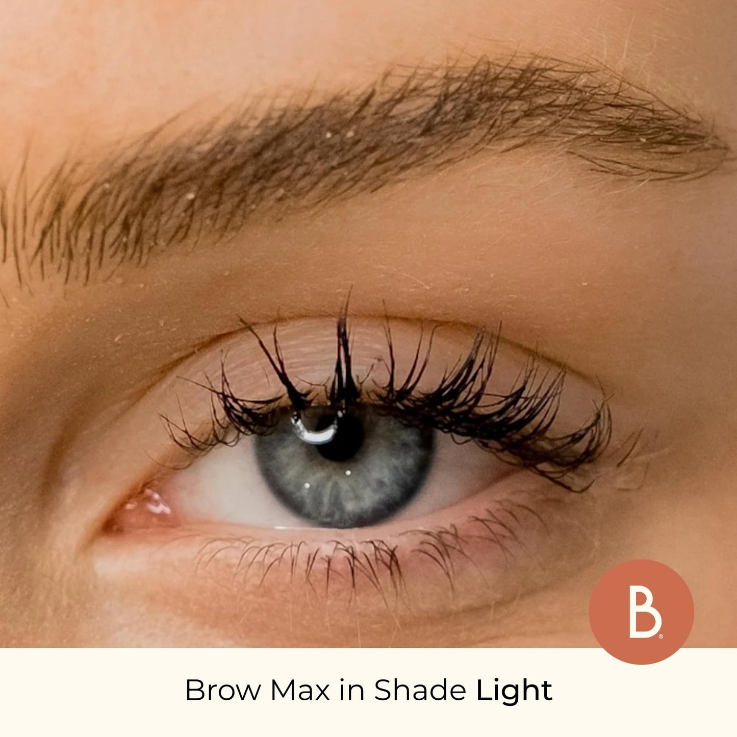 Beauty For Real Brow Max Ombre Brow Powder Light – Shape, Balance & Define Brows | Long-Wear, Vegan, Cruelty-Free & Paraben-Free