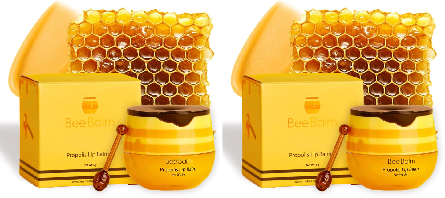 Bee Balm Original Lip Balm – Propolis Hydration in Honey Pot (Pack of 2)