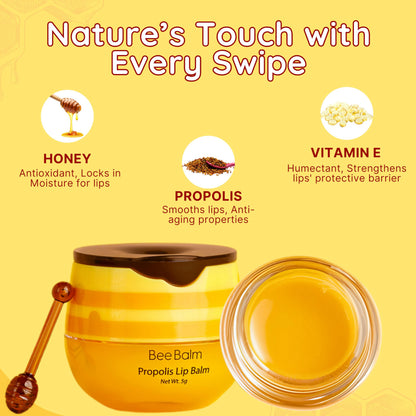 Bee Balm Original Lip Balm – Propolis Hydration in Honey Pot (Pack of 2)