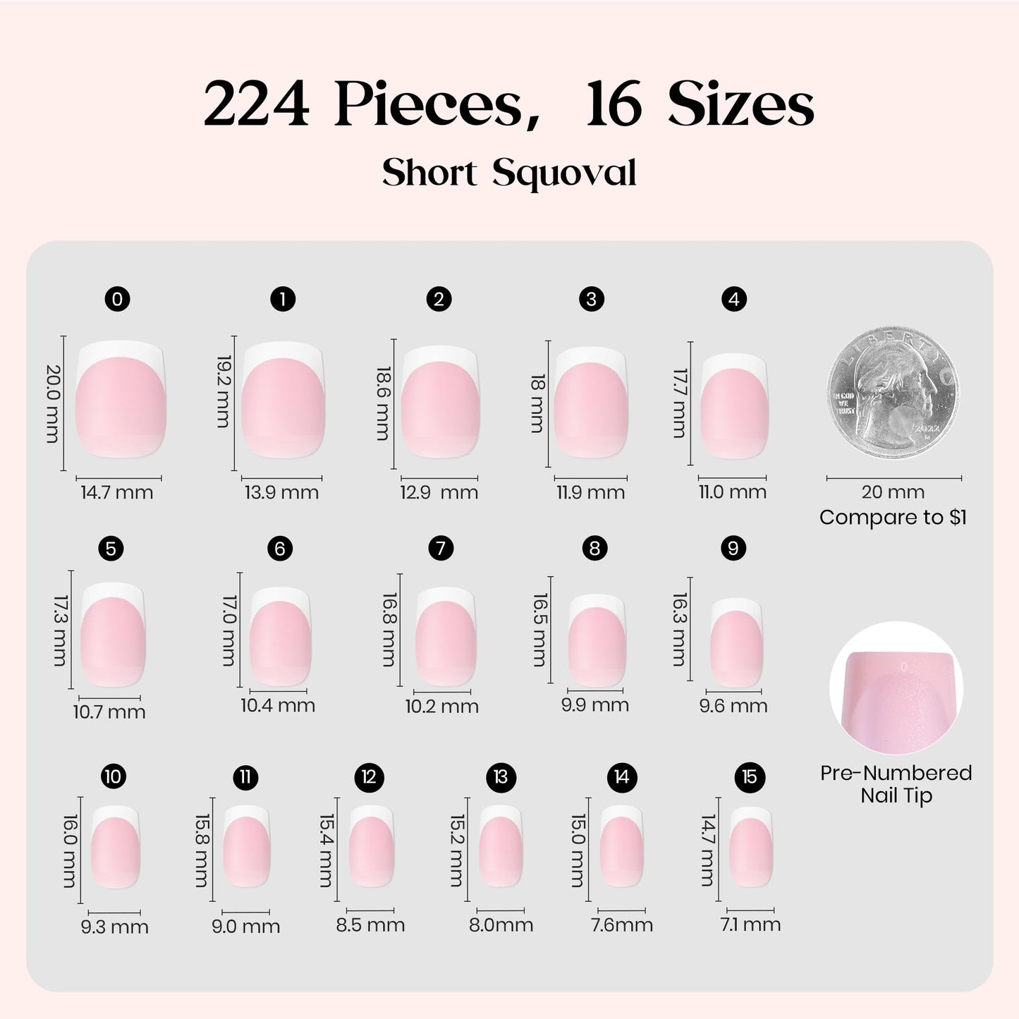 Beetles X Press Plus French Tip Nails – Camellia French, Pink Short Squoval | 224 Pcs, 16 Sizes