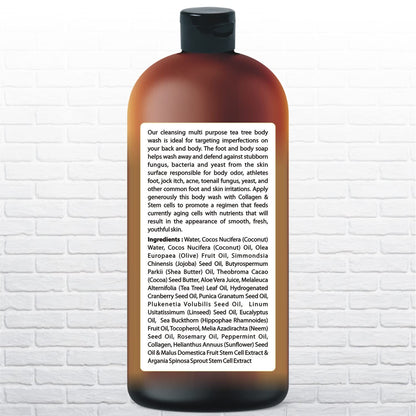Being Naturals Tea Tree Body Wash – 16.9 oz | Odor, Acne & Skin Support