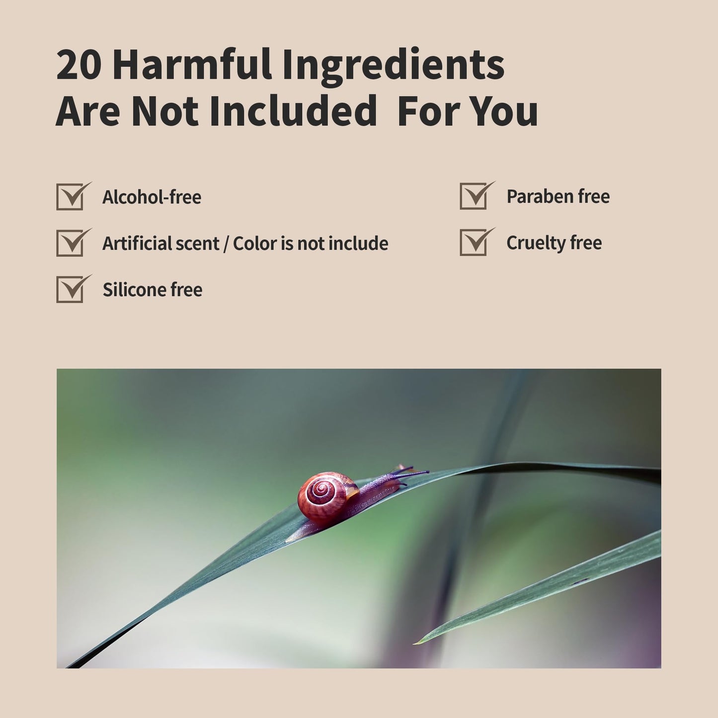 BENTON Snail Bee High Content Lotion 120ml | Hydration with Snail Mucin & Bee Venom