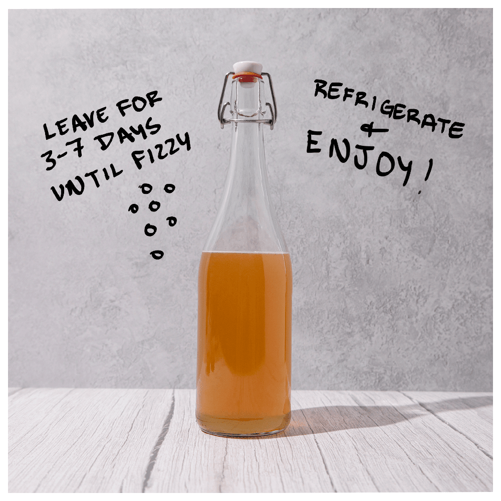 Blighty Baby Kombucha Starter Kit (to make 1L)