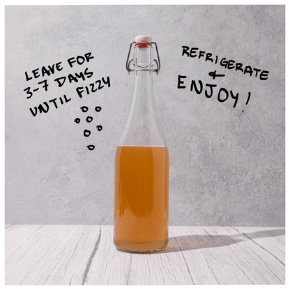 Blighty Baby Kombucha Starter Kit (to make 1L)