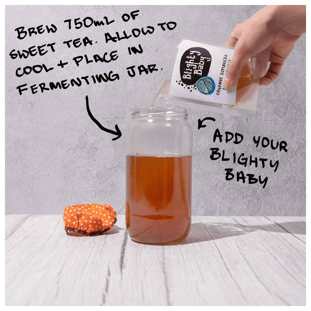 Blighty Baby Kombucha Starter Kit (to make 1L)