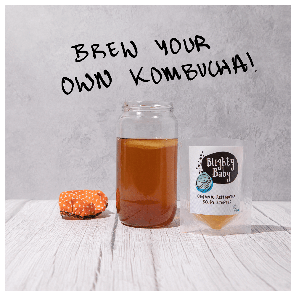 Blighty Baby Kombucha Starter Kit (to make 1L)
