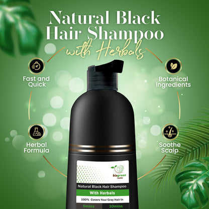 BIOGREEN ROOTS Ammonia-Free Herbal Hair Dye Shampoo – Natural Black, Paraben-Free (200 ml)