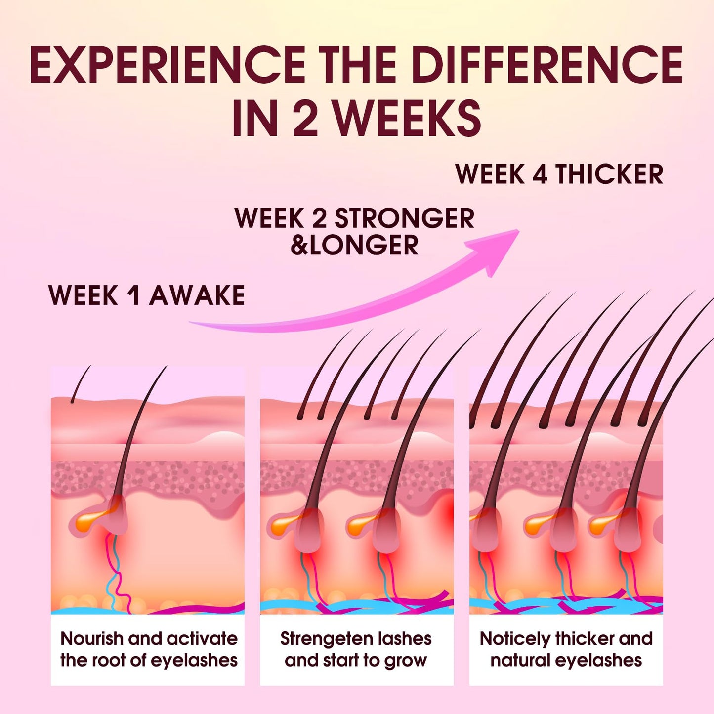Biysber Lash Serum for Eyelash Growth – Premium Vegan Formula for Longer, Fuller Lashes & Brows (5 mL)