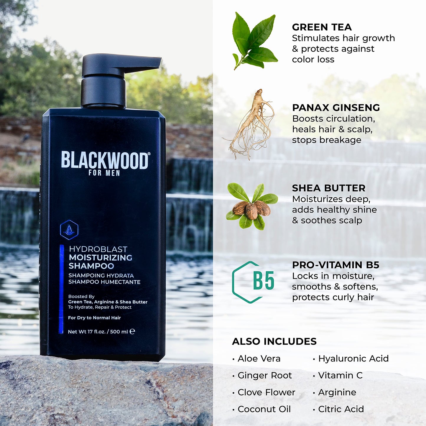 Blackwood For Men Hydroblast Moisturizing Shampoo – For Coarse, Dry & Curly Hair • Vegan, Sulfate-Free