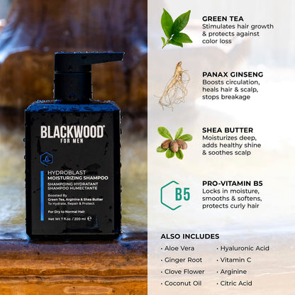 Blackwood For Men Hydroblast Moisturizing Shampoo – For Coarse, Dry & Curly Hair | Ginseng & Ginger | Vegan, Sulfate-Free (7 Oz)