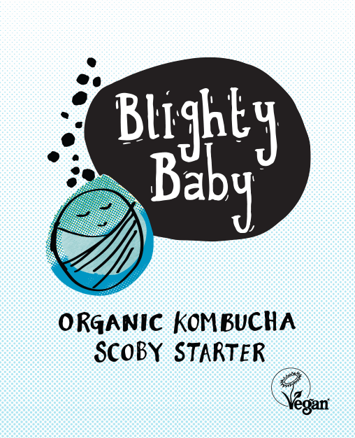 Blighty Baby Kombucha Starter Kit (to make 1L)