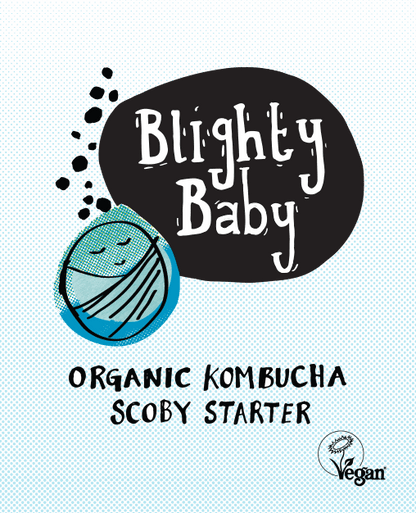 Blighty Baby Kombucha Starter Kit (to make 1L)