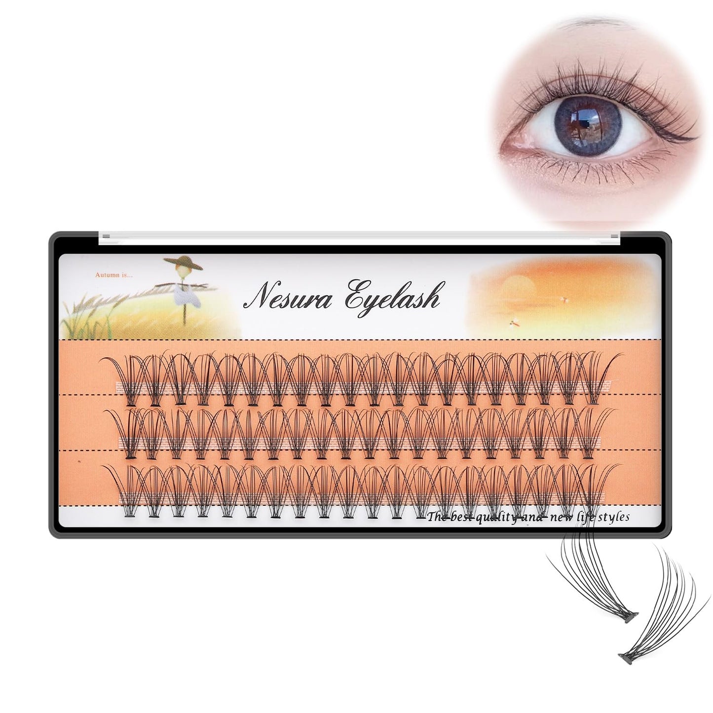 Bodermincer 60pcs Mixed Black Handmade False Eyelashes – 6–16mm, 10D–60D, 5 Packs (11mm)