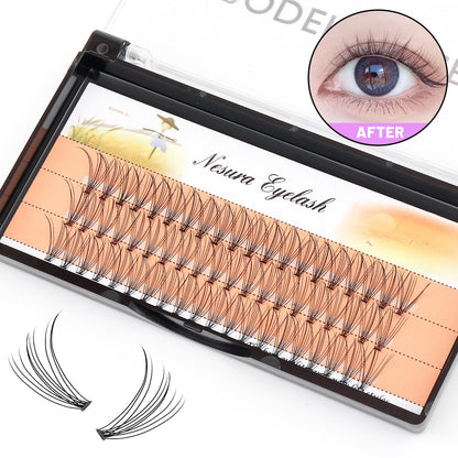 Bodermincer 60pcs Mixed Black Handmade False Eyelashes – 6–16mm, 10D–60D, 5 Packs (11mm)