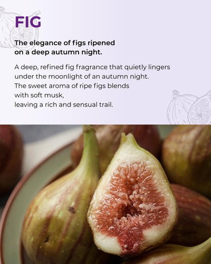 BOM Petit Fig Body Mist – Fig Scent, Hydration with Hyaluronic Acid, Niacinamide & Vitamin C