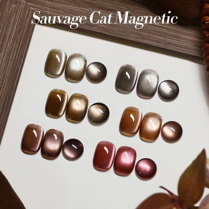 Born Pretty Cat Magnetic Eye Gel Nail Polish Kit – 6 Jelly Glass Polishes