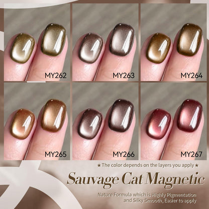 Born Pretty Cat Magnetic Eye Gel Nail Polish Kit – 6 Jelly Glass Polishes