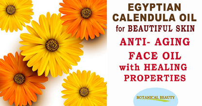 Botanical Beauty Calendula Oil - 100% Pure Egyptian Calendula Officinalis - Face, Skin, Body, Hair, Nails Moisturizer 1 Fl oz / 30 ml