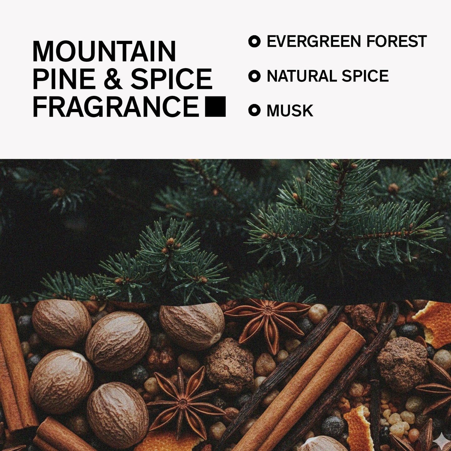 Bravo Sierra Aluminum-Free Deodorant for Men – Mountain Pine and Spice, 3.2 oz