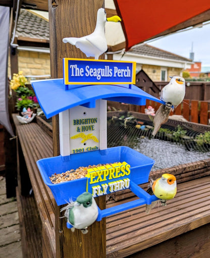 Brighton and Hove Garden Bird Feeding Station -  Garden Decor and Wild Bird Food Feeder  Gift for albion Fan- seagulls supporter present.